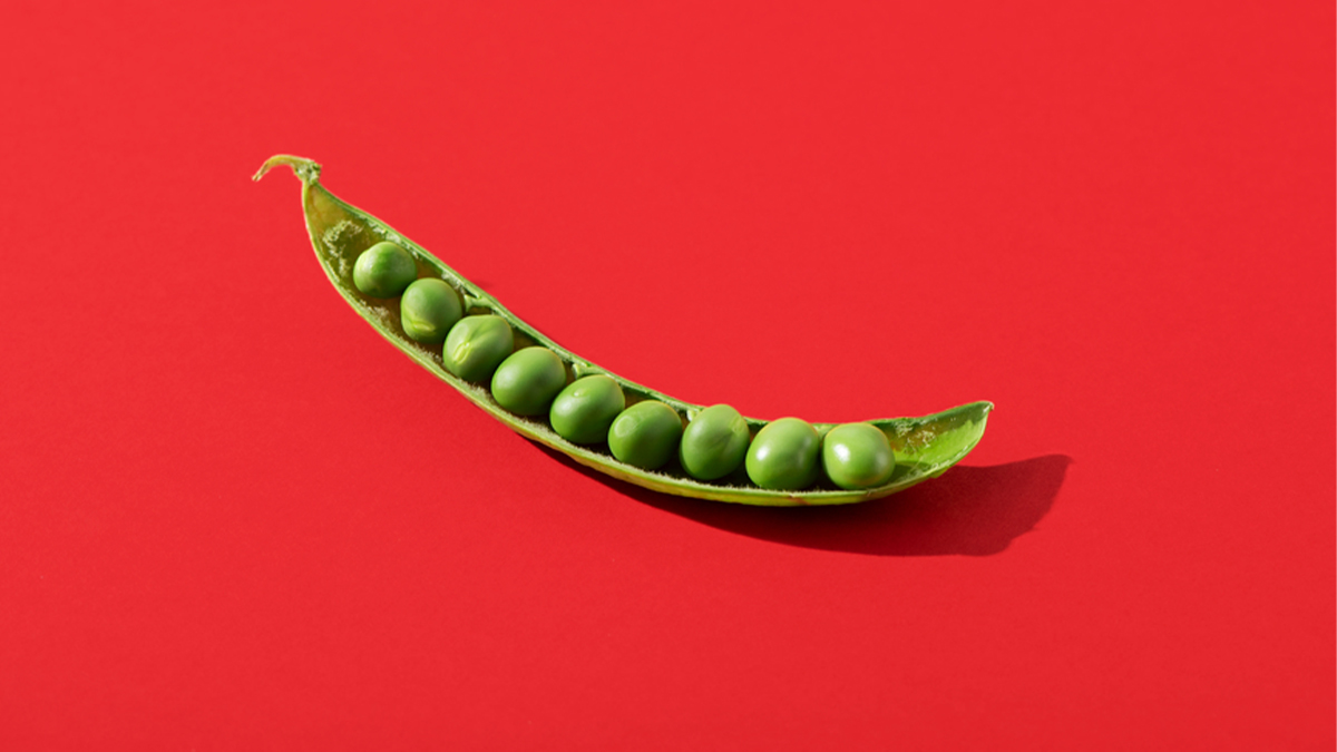 Creating a Cohesive Team for Corporate Transformation Projects